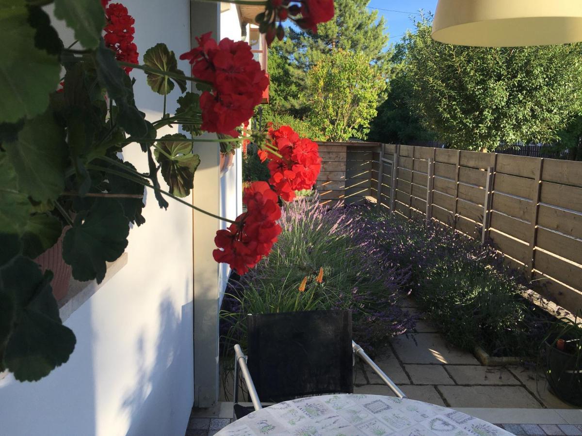 Szelrozsa Apartmanhaz Веленце Экстерьер фото